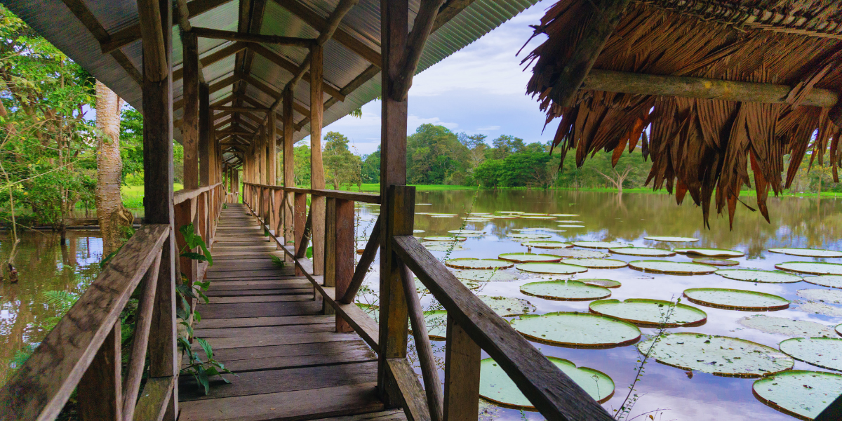 Amazonas