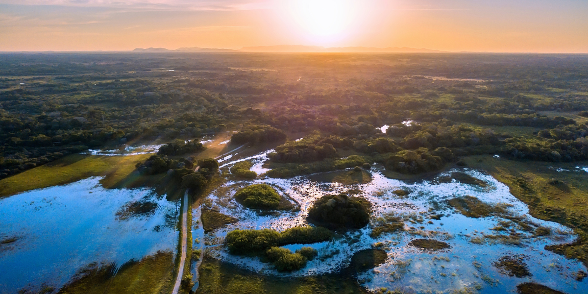 Pantanal Sul