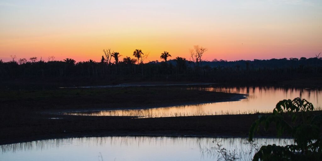 Parque Estadual de Guajará-Mirim