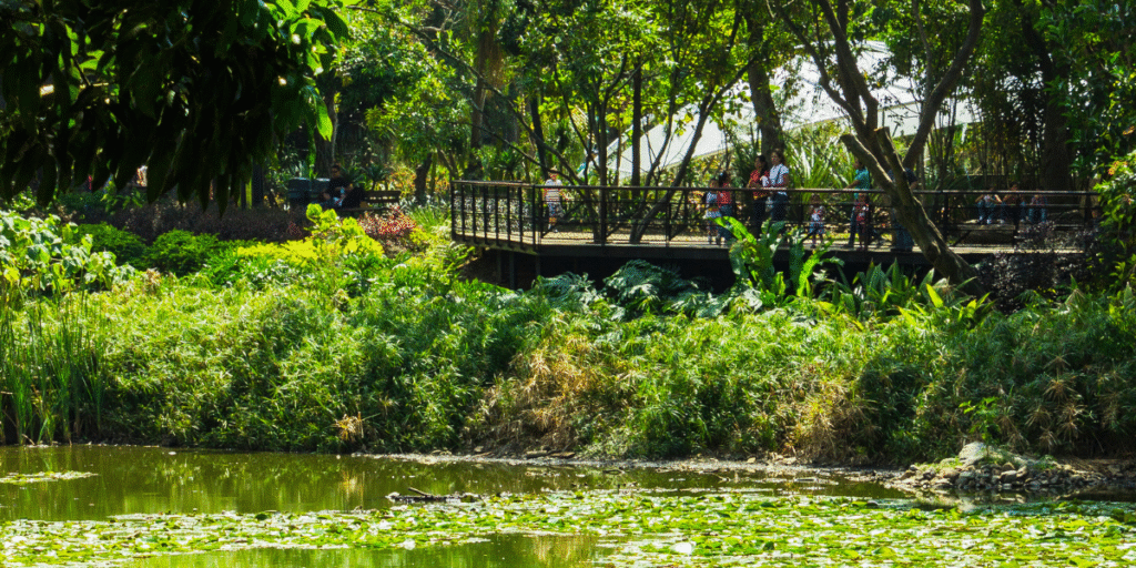 Jardim Botânico de Medellín