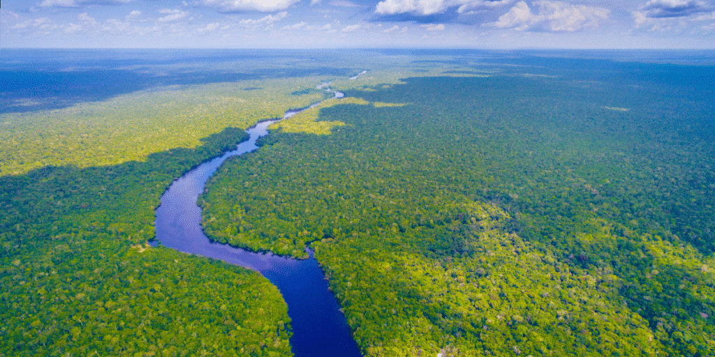  Amazônia — Brasil