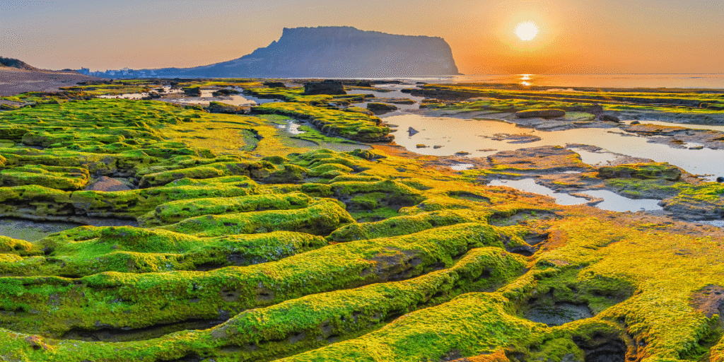Ilha de Jeju — Coreia do Sul