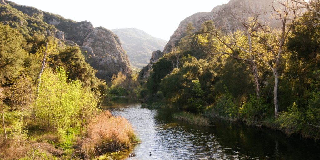 Malibu Creek State Park