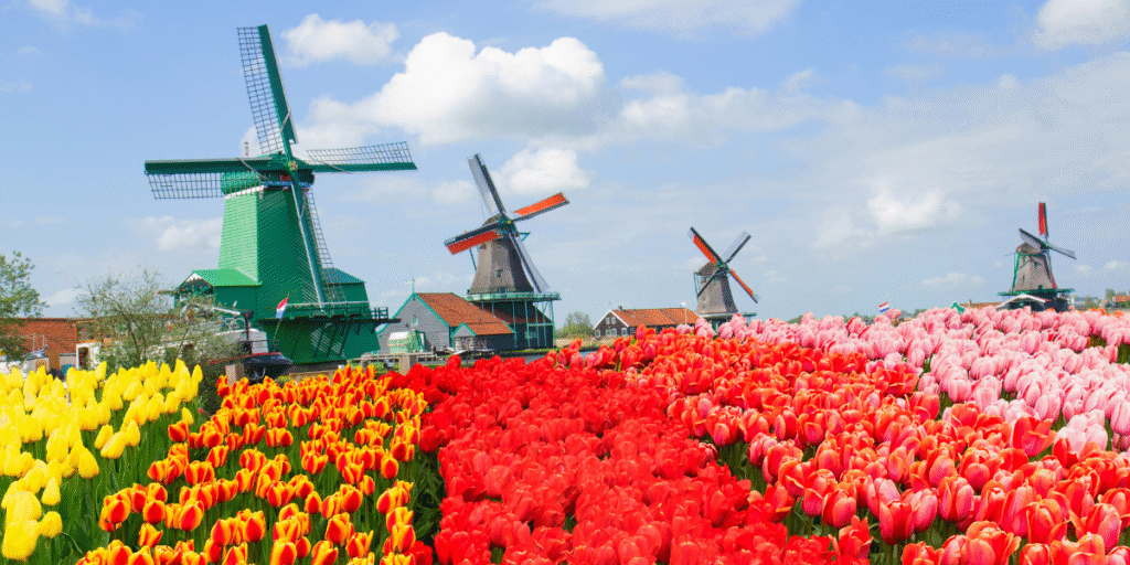 Moinhos de Zaanse Schans