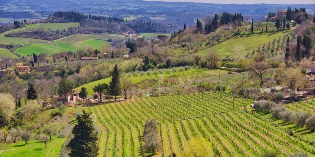 Chianti: para os amantes do vinho