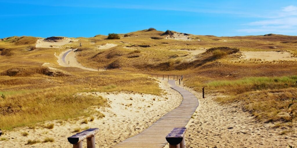 Curonian Spit: duna, floresta e tradição