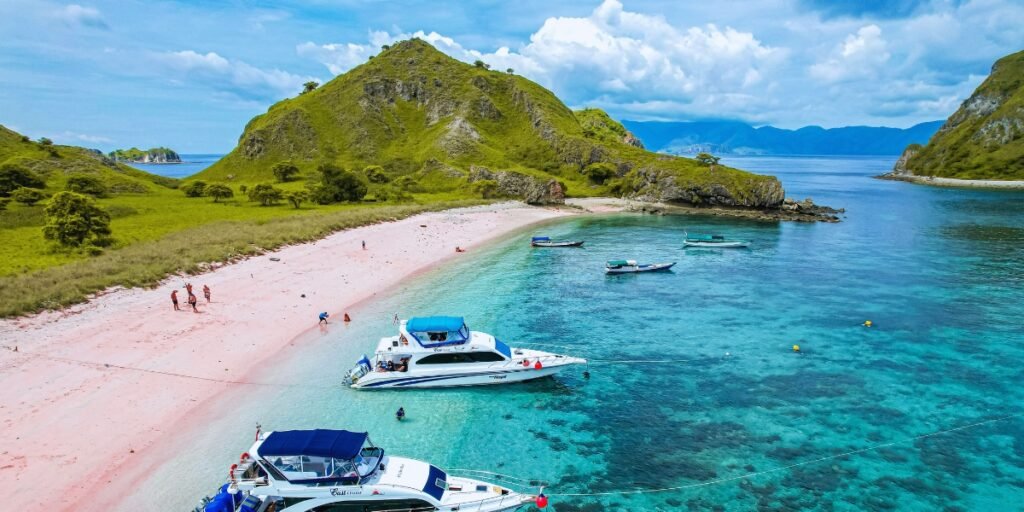Ilha de Komodo | Indonésia
