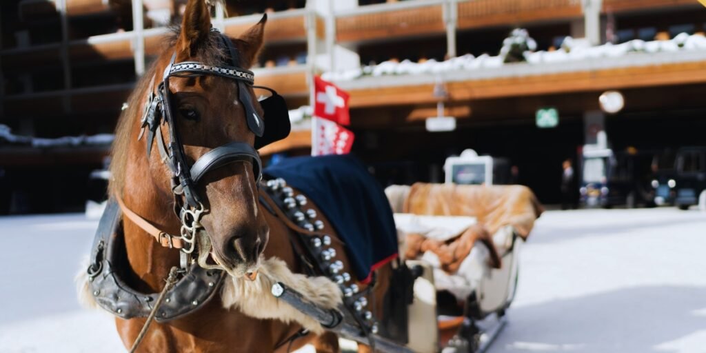 Natal mágico em Zermatt