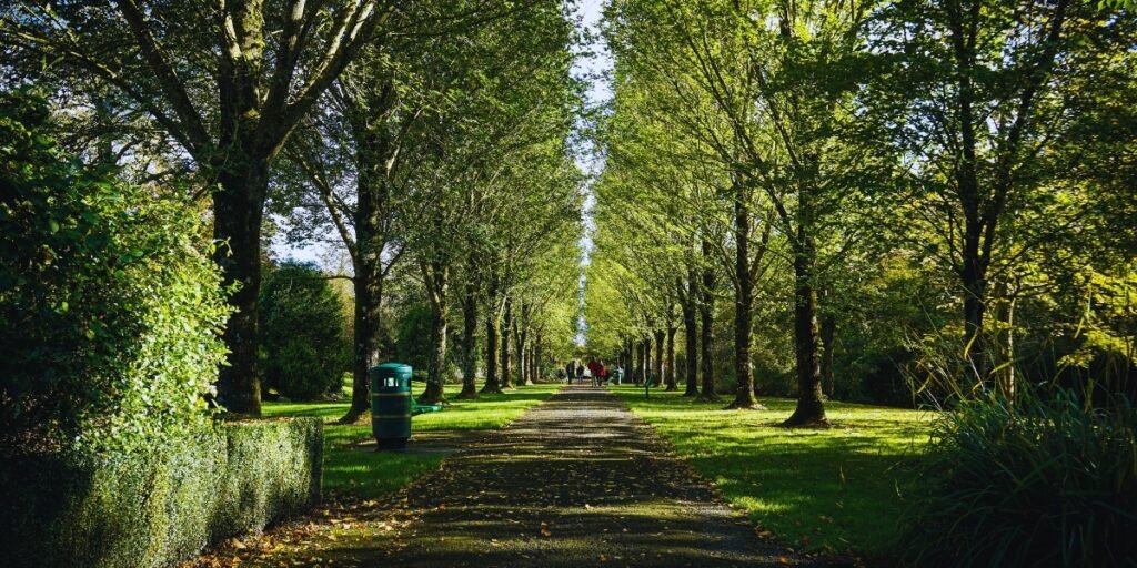 Parque do Povo (People's Park)