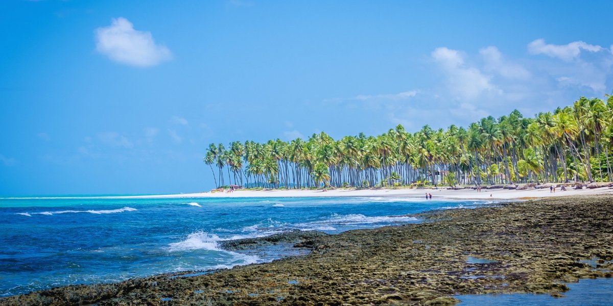 Experiências imperdíveis próximas da Praia dos Carneiros