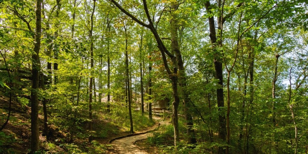 Trilhas e caminhadas panorâmicas