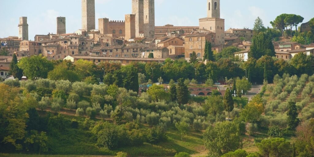 Vernaccia di San Gimignano
