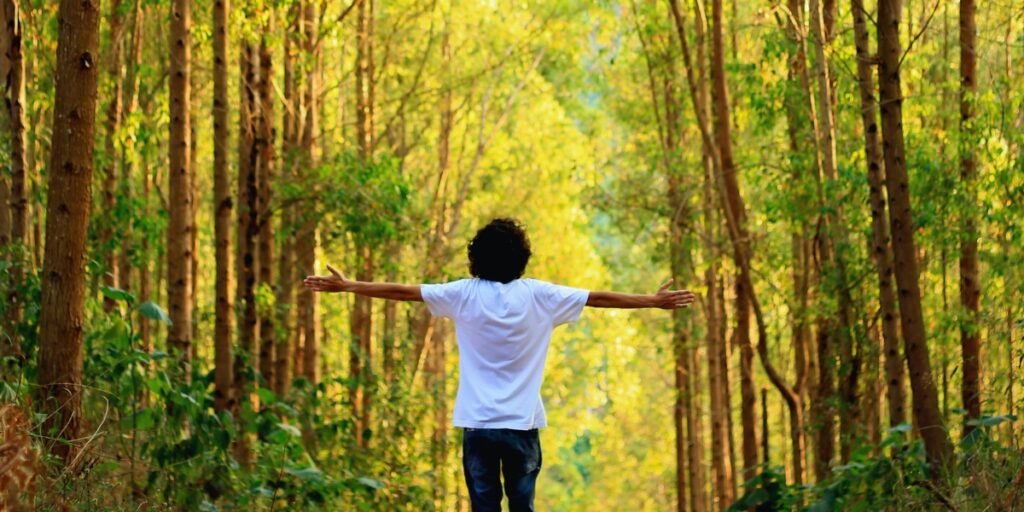Como respeitar o ambiente natural
