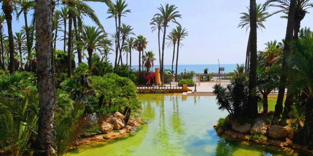 Parque El Palmeral