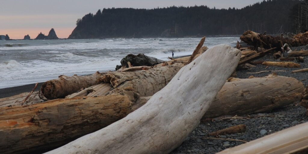Rialto Beach