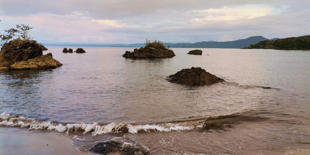 Nuquí – mergulho e observação de baleias