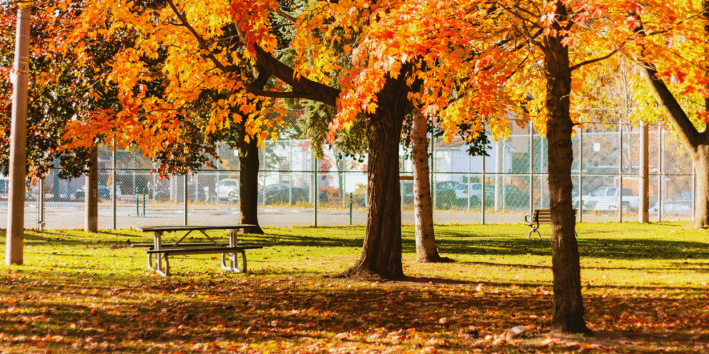 Explorando Toronto na primavera