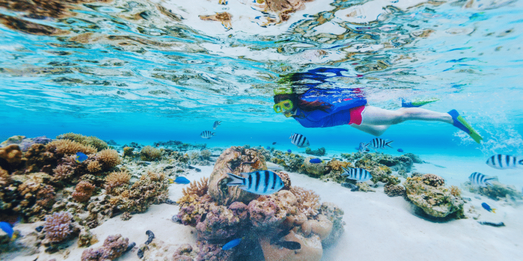 Mergulho e snorkeling