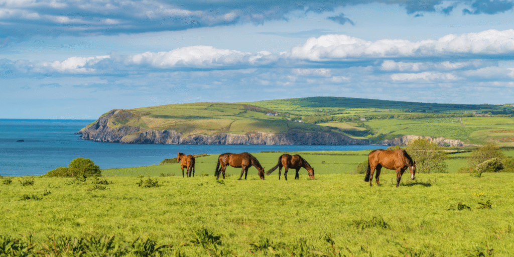 Pembrokeshire Coast