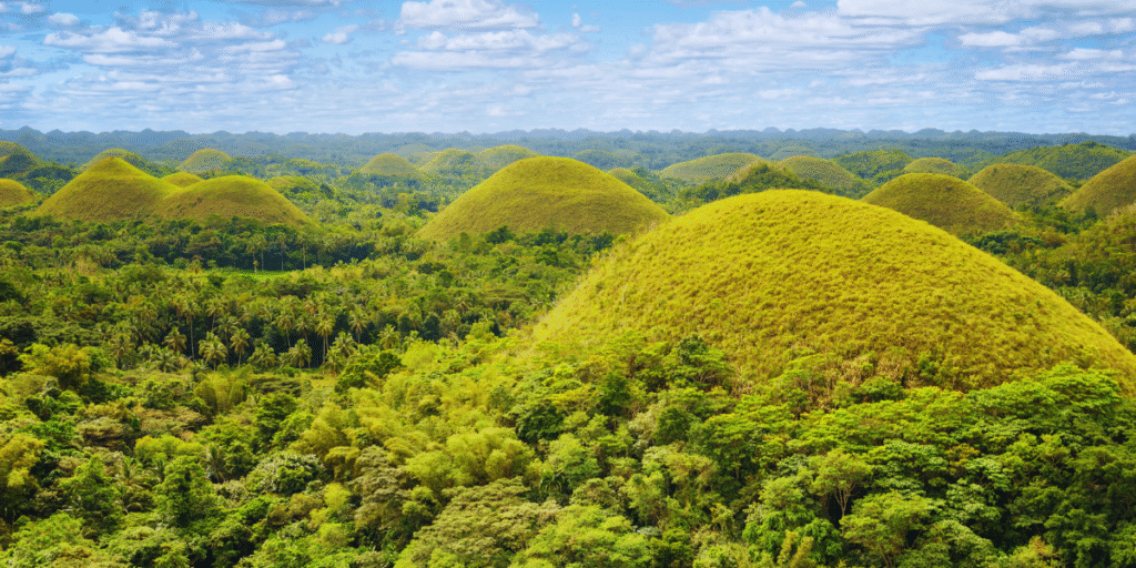 Chocolate Hills