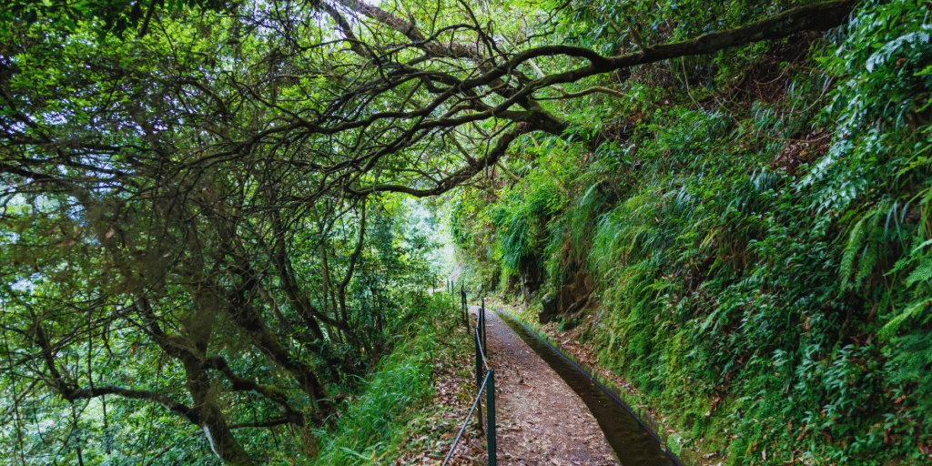 Levadas da Madeira