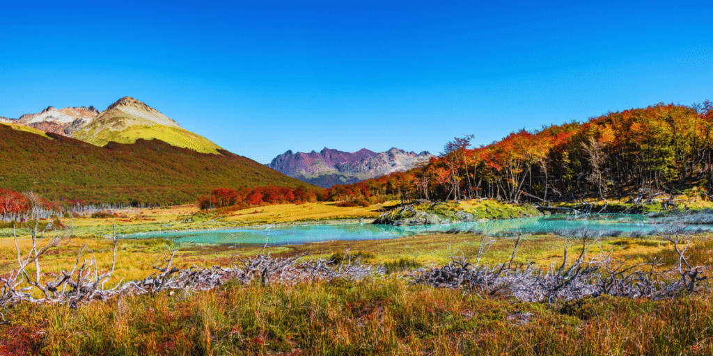 Parque Nacional Tierra del Fuego