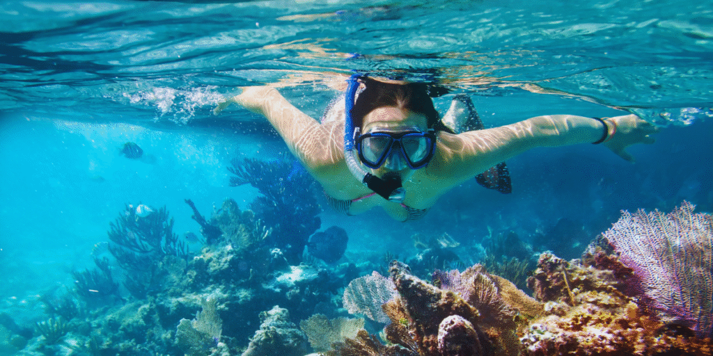 Snorkel e mergulho