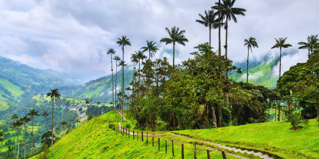 Vale do Cocora