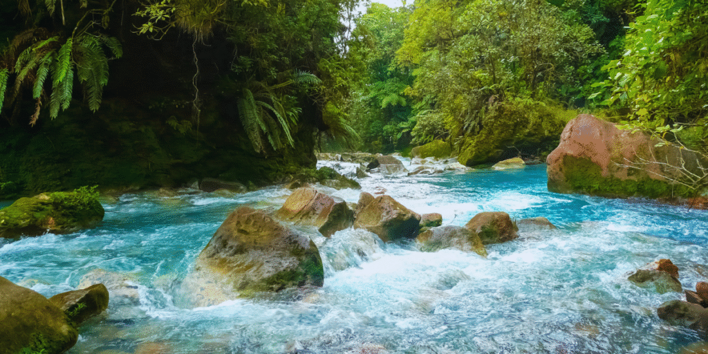 Parque Nacional Tenorio