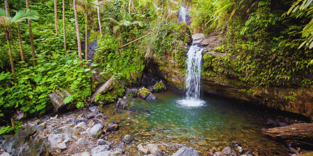 El Yunque